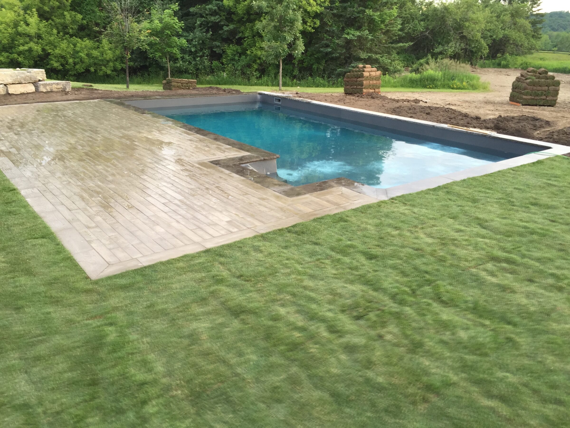 A backyard features a rectangular pool surrounded by freshly laid grass, paving stones, and lush green trees in the background.