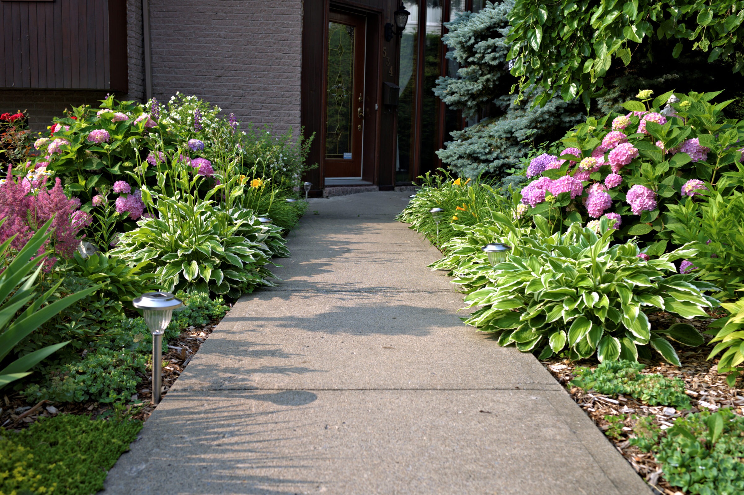 A lush garden path with blooming hydrangeas and hostas leads to a wooden door, flanked by greenery and outdoor lights.